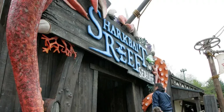 Sharkbait Reef